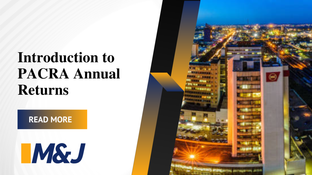 PACRA Annual Returns 101. What Are They And Why Are They Important?